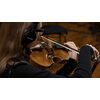 Synchron Solo Viola from Vienna Symphonic Library